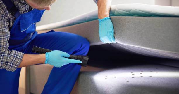 Best Local Pest Control Services  in Benton Heights, MI